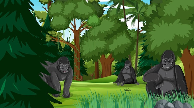 Gorilla family in forest or rainforest scene with many trees