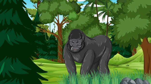 Gorilla in forest or rainforest scene with many trees