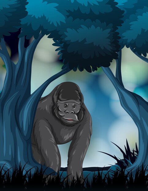 A gorilla in forest