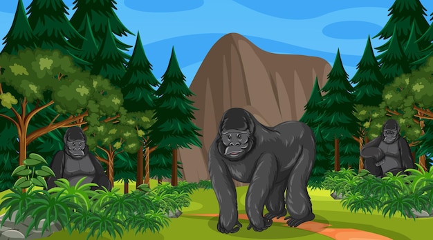 Gorilla group lives in forest or rainforest scene with many trees