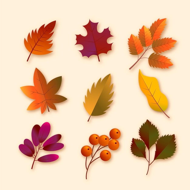 Gradient autumn leaves collection