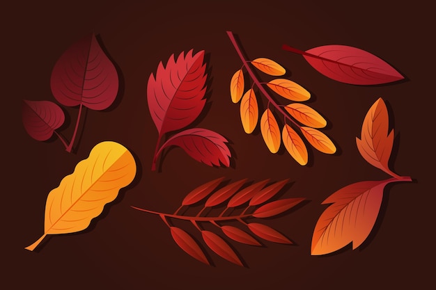 Free vector gradient autumn leaves collection