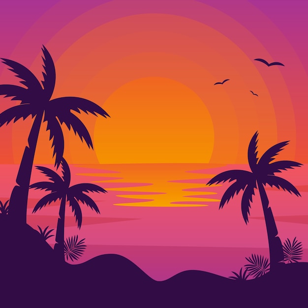 Sunset Vectors, Photos and PSD files | Free Download