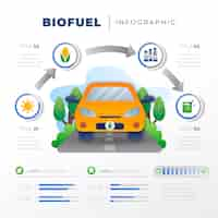 Free vector gradient biofuel infographic