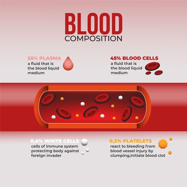 Free vector gradient blood infographic