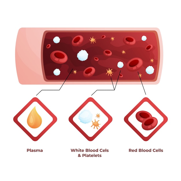 Gradient blood infographic