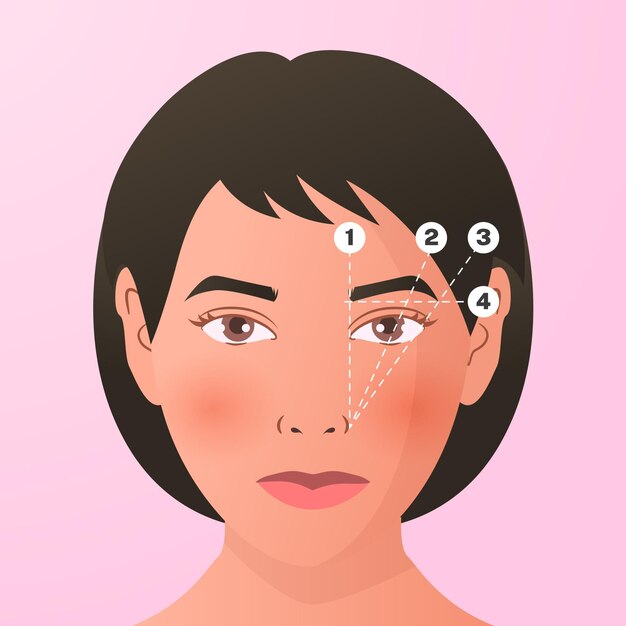 gradient brow mapping illustration