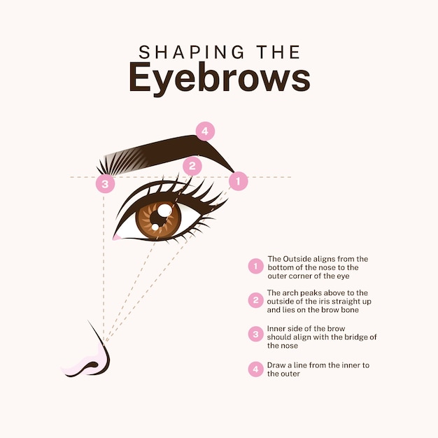 Free vector gradient brow mapping illustration