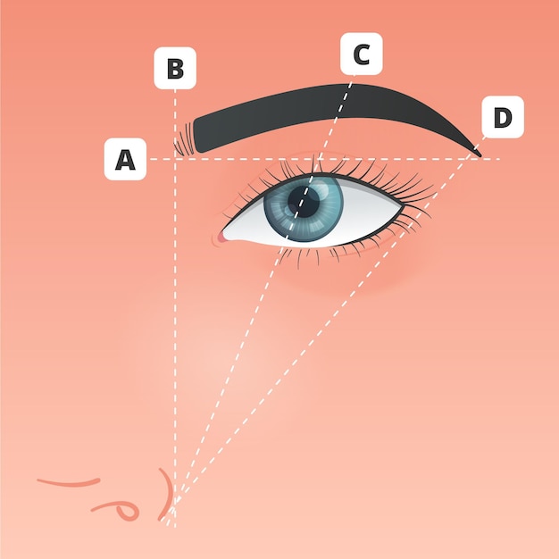 Free vector gradient brow mapping illustration