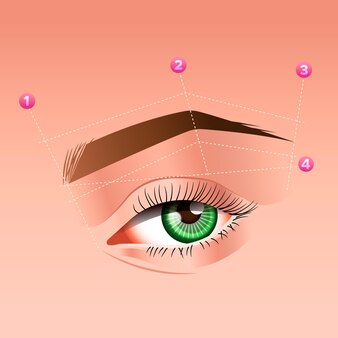 Sourcils Free Stock Vectors