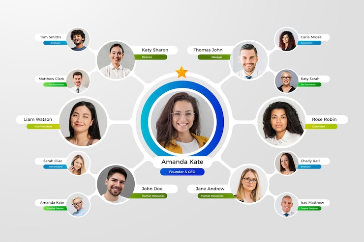 Free Vector gradient circular organizational chart infographic design
