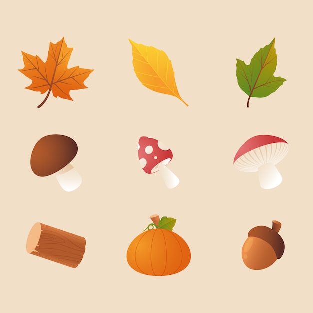 Free vector gradient elements collection for autumn celebration