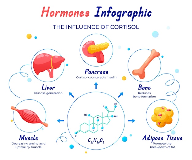 Progettazione infografica degli ormoni gradienti