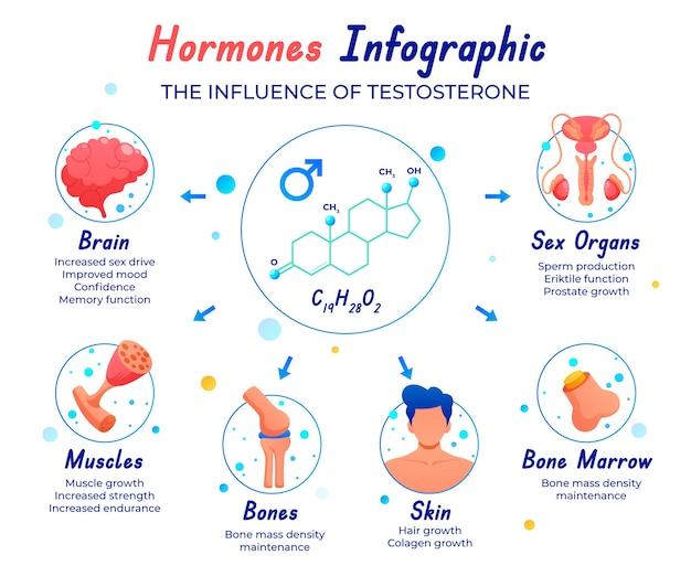 Vettore gratuito progettazione infografica degli ormoni gradienti