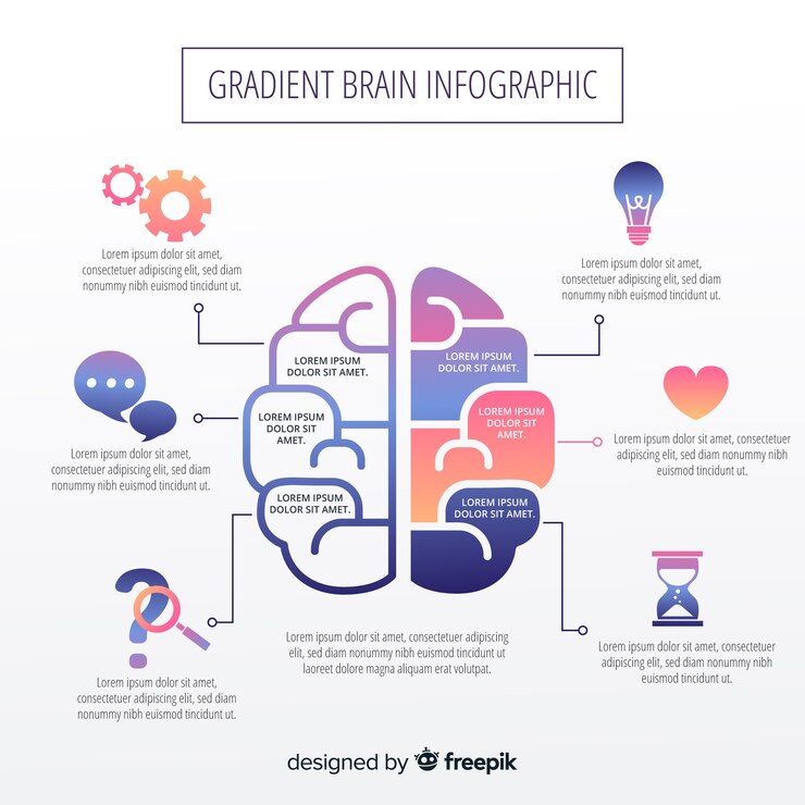무료 Vector 그라디언트 infographic