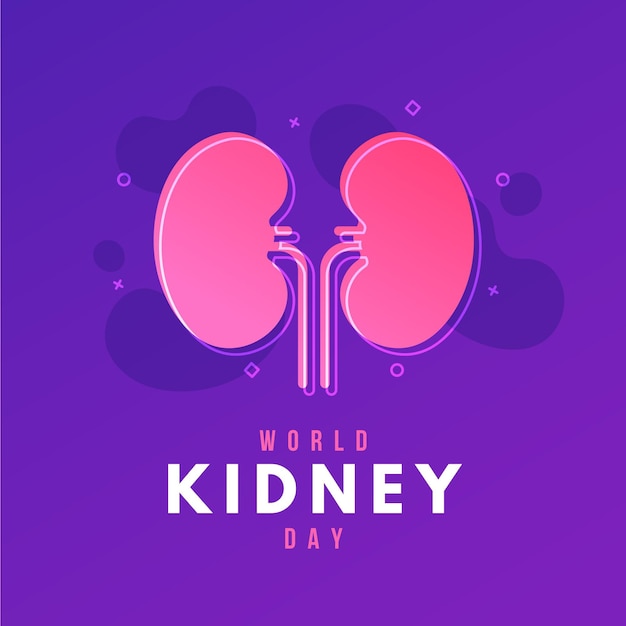 Free vector gradient kidney day illustration