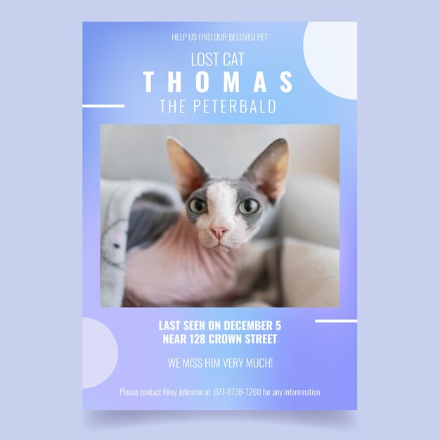 Gradient modern lost cat poster template