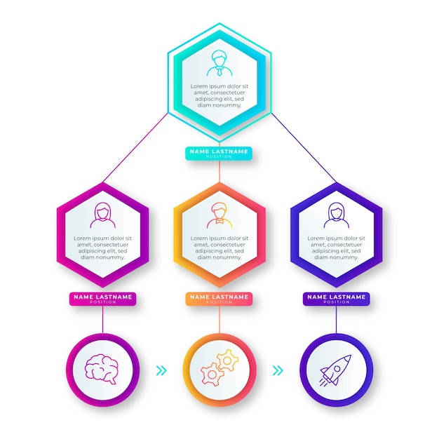 Gradient organizational chart infographic