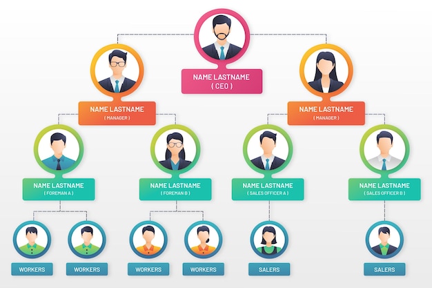 Free vector gradient organizational chart infographic