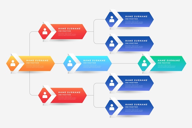 Free vector gradient organizational chart infographic