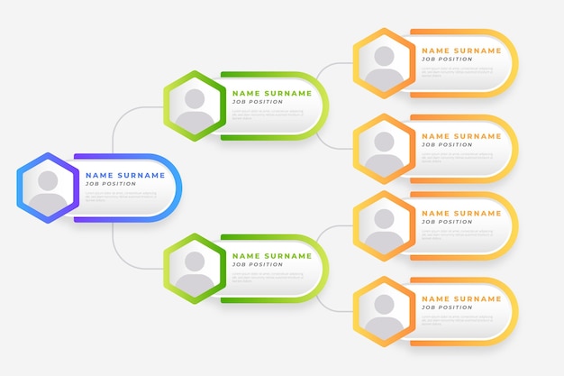 Gradient organizational chart infographic