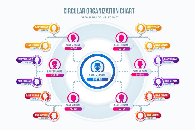 Free Vector gradient organizational  chart ivnfographic