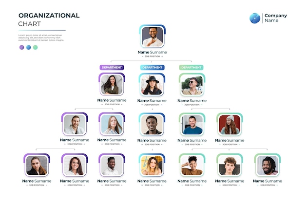 Gradient organizational chart with photo