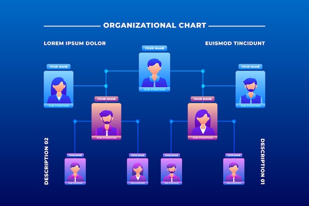 Free vector gradient organizational chart