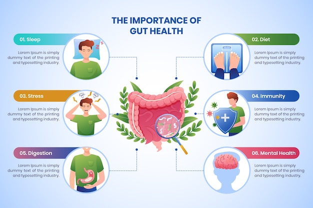 Инфографика градиентных пробиотиков и пребиотиков