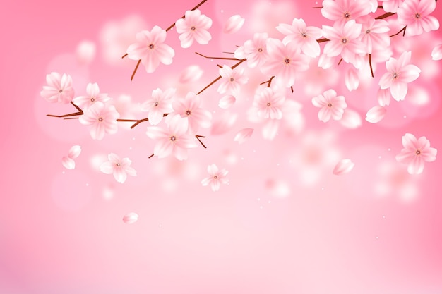 グラデーションの桜の花の枝の背景 無料ベクター