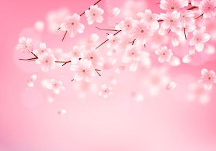 Cherry blossom vectors