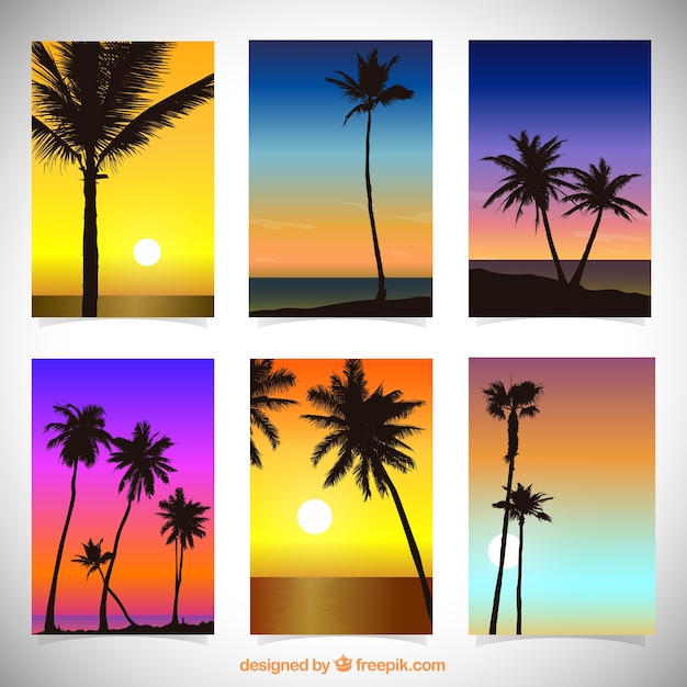 Gradient summer cards with silhouette palms