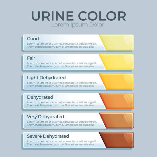 Vettore gratuito infografica sul colore dell'urina sfumata