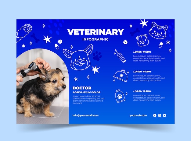 Free vector gradient veterinary center infographic