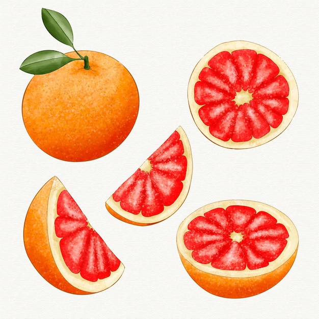 Grapefruit collection