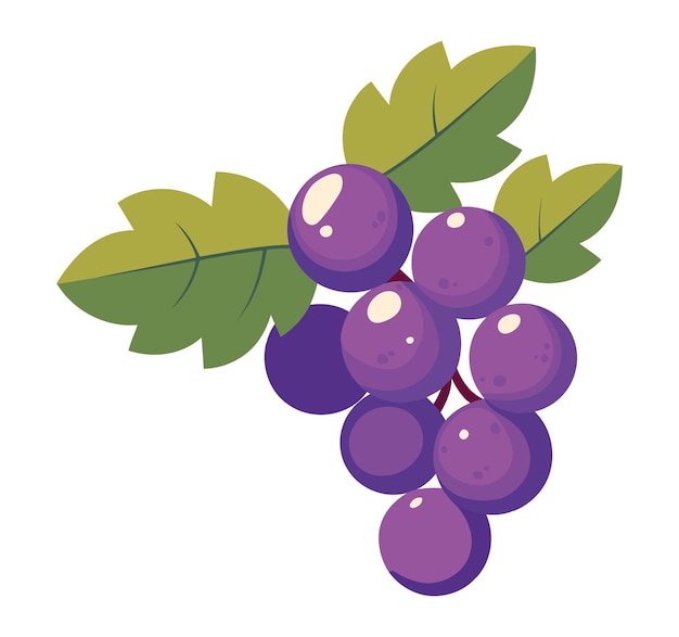 grapes fresh fruit icon isolated