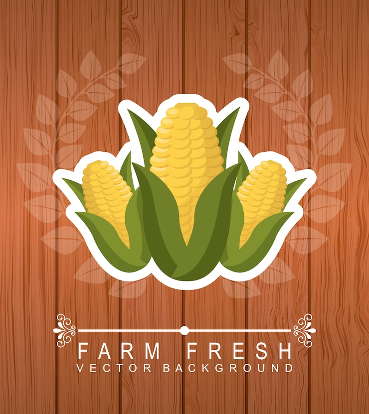 Free Vector graphic design