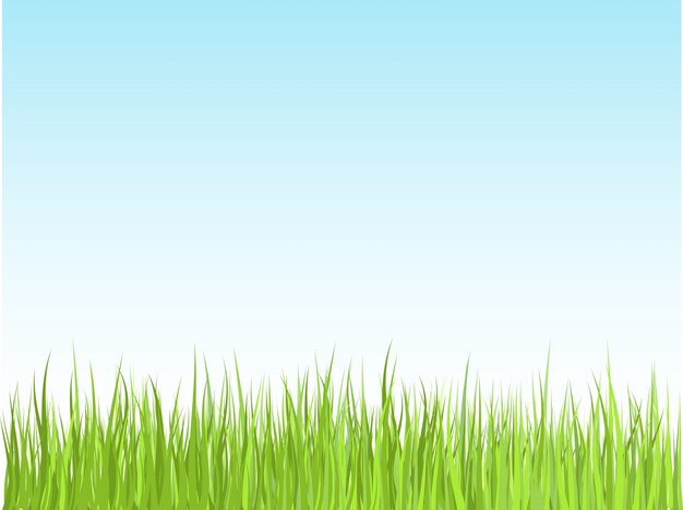 Grass against blue sky