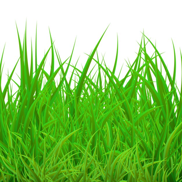 Grass background design