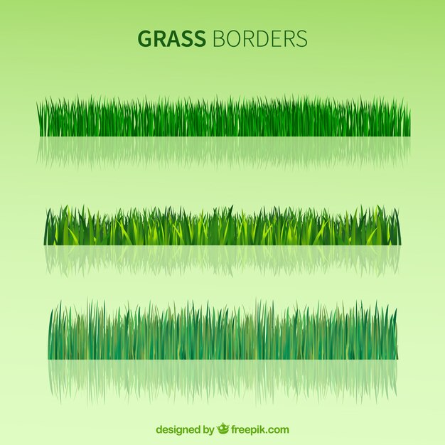 Grass borders in realistic design