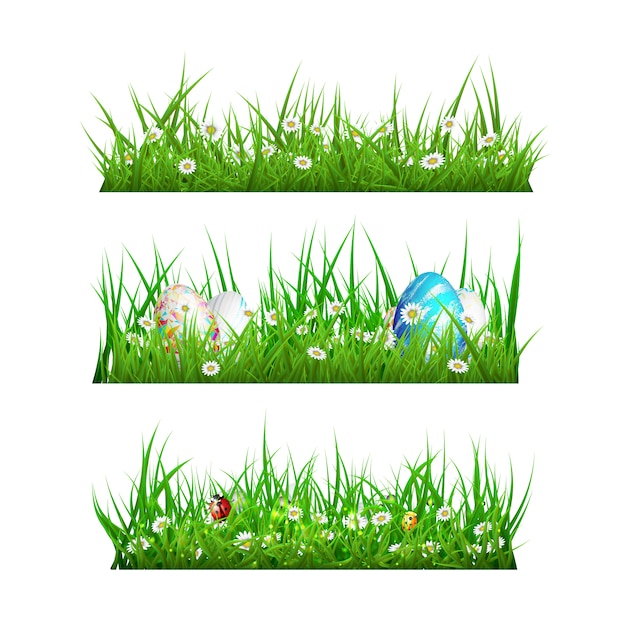 Free vector grass designs collectio