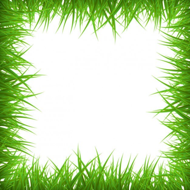 Grass frame background