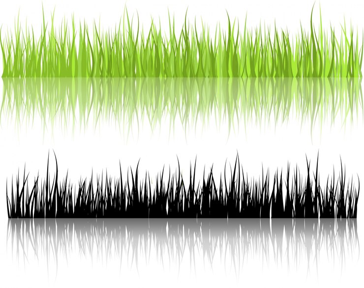 Free Vector grass illustrations with reflections