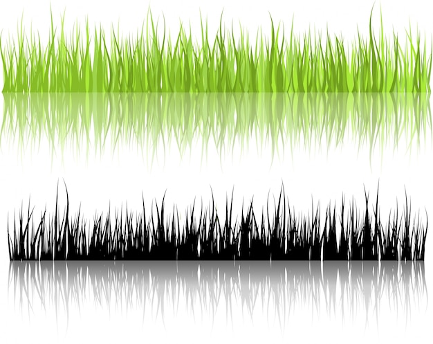 Травяные иллюстрации с отражениями