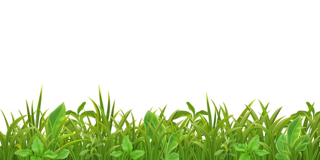 Grass Leaves Seamless Pattern