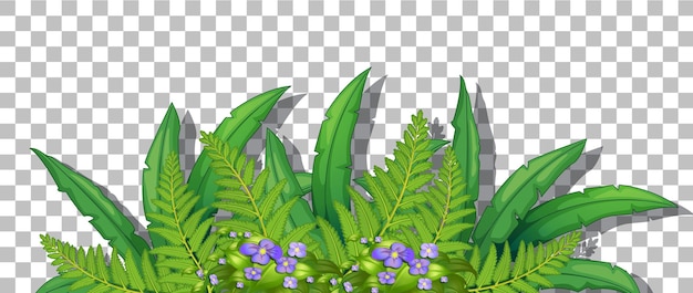 Free vector grass and plants on transparent background for decor