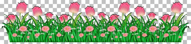 Grass and plants on transparent background for decor