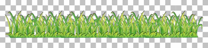 Free vector grass and plants on transparent background for decor