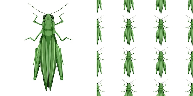 Free vector grasshopper insects isolated and seamless pattern