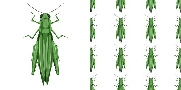 バッタ昆虫分離とシームレスパターン